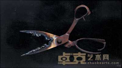 冷军 2000年作 突变有刺的剪刀 25×43cm